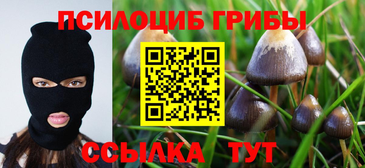 Лысьва  Галлюциногенные грибы MAGIC MUSHROOMS  Вход с VPN 